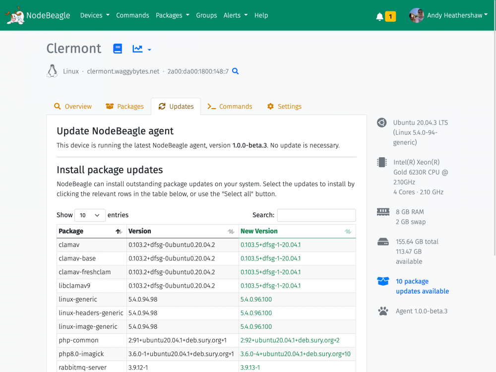 Screenshot showing a detailed package report for a device in NodeBeagle