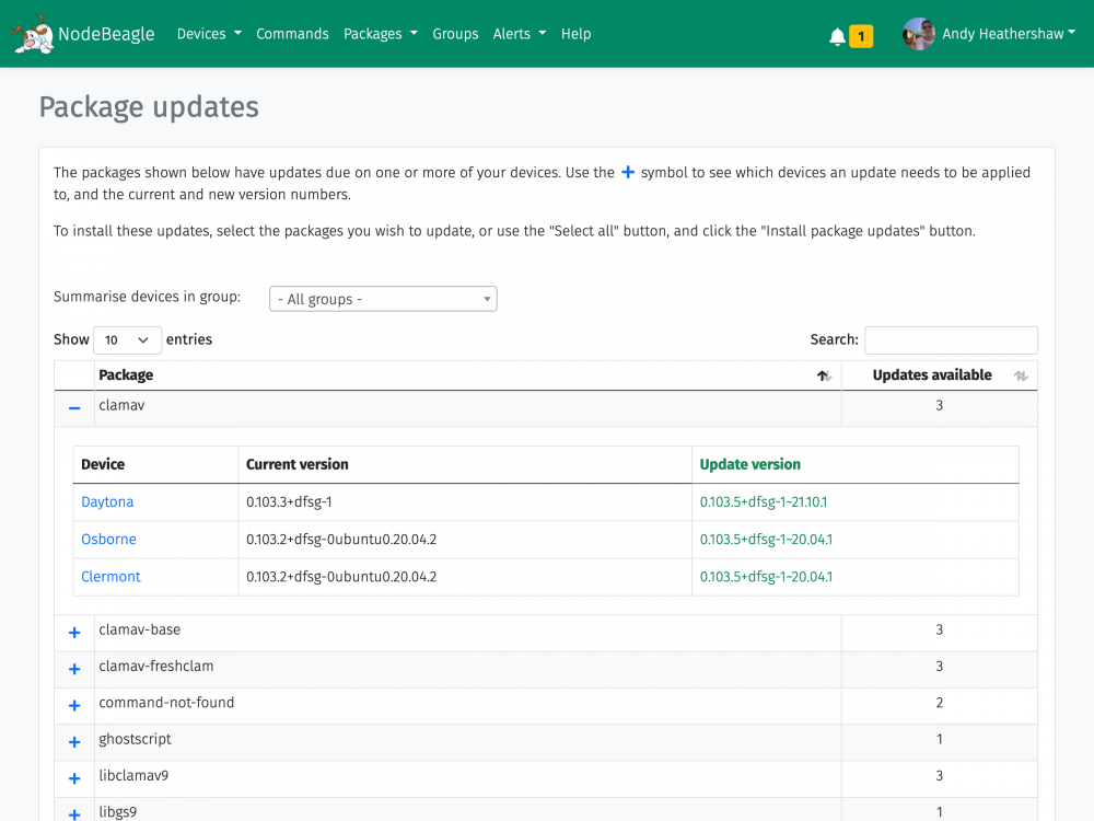 Screenshot showing detailed Linux package updates in NodeBeagle