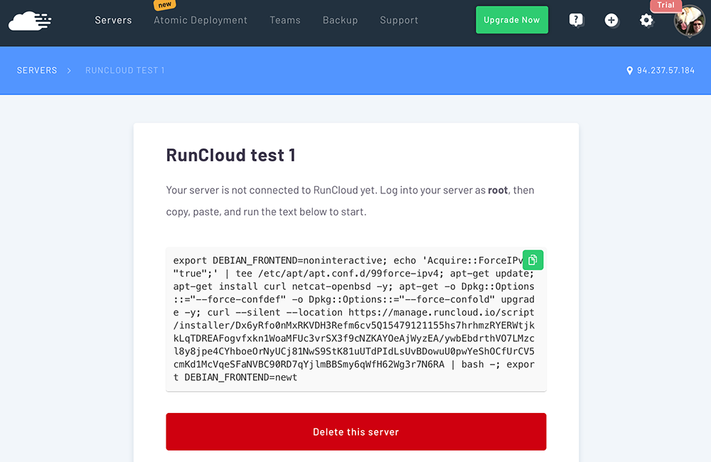 Screenshot showing the RunCloud command to run on your server