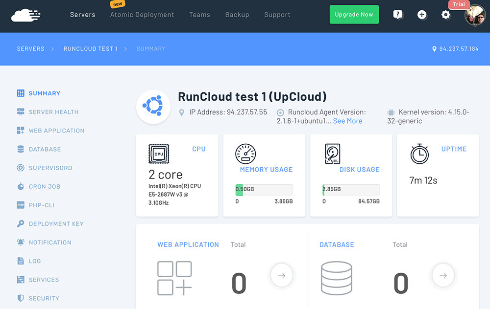 Screenshot showing RunCloud's server overview dashboard